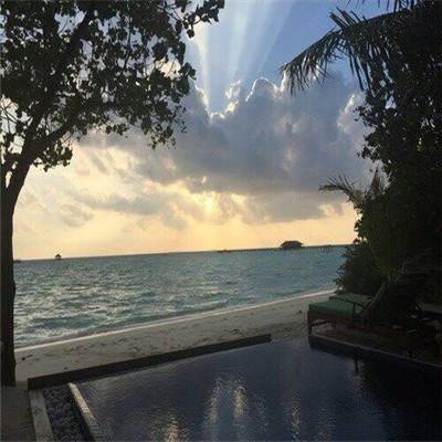 半岛官方下载入口